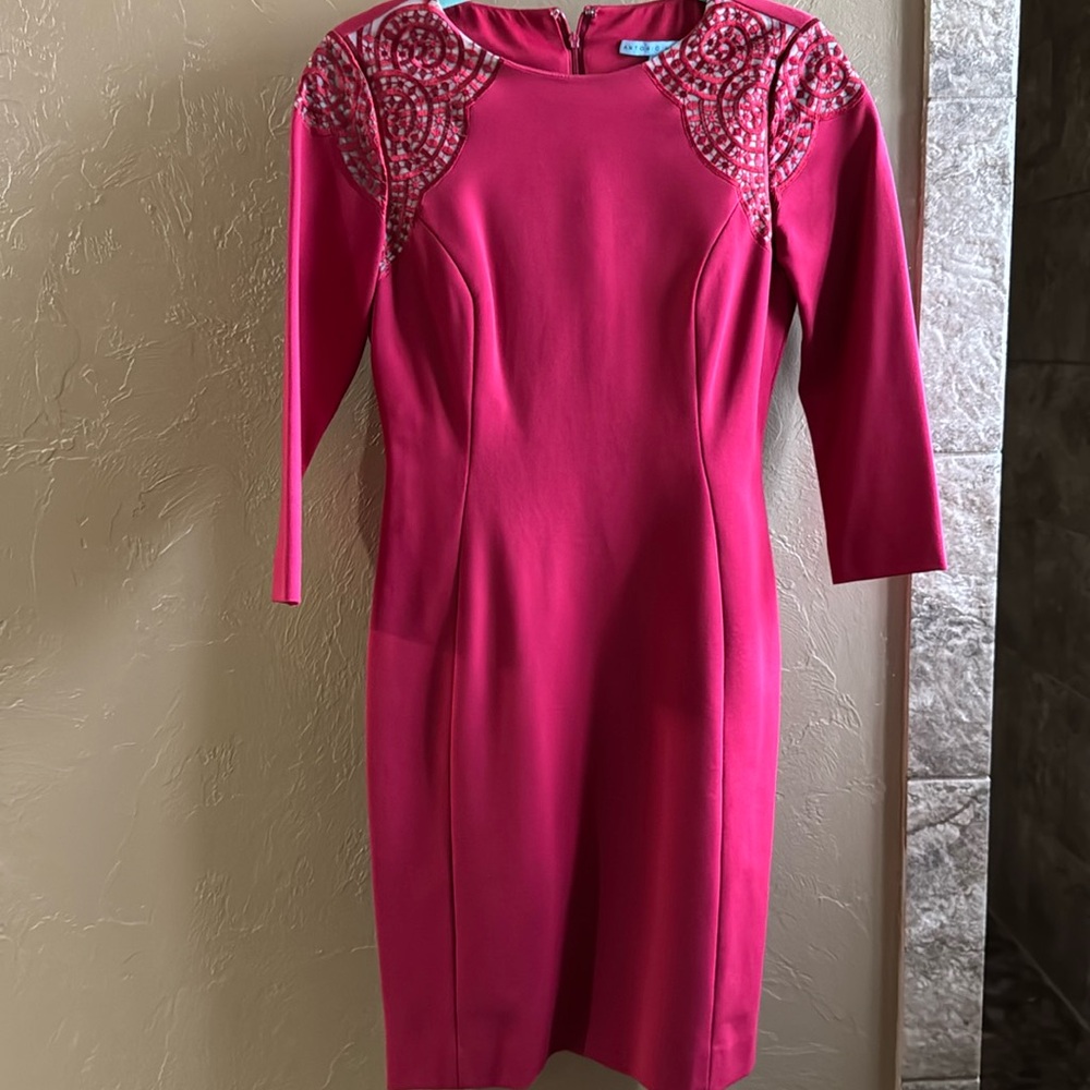 Antonio Melani size 4 lined Red dress with embroidered designs at shoulders